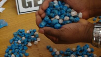 Genarc de Itumbiara faz apreensão de 257 pedras de crack em quintal