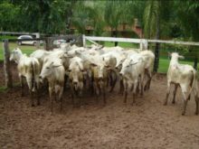 WhatsApp Image 2016-11-25 at 17.12.27(1)