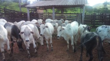 WhatsApp Image 2017-04-06 at 16.38.28