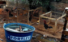 WhatsApp Image 2017-05-11 at 112