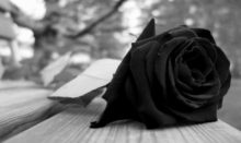 Black-Rose-HD-Wallpaper