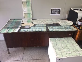 deic falsificação2