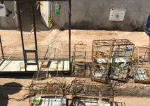 WhatsApp Image 2017-08-17 at 14