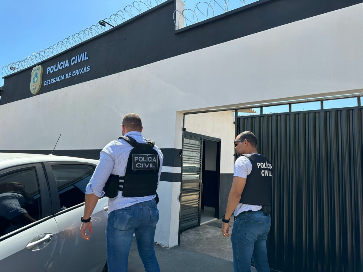 Operação resgata cachorros trancados em apartamento em Valparaíso