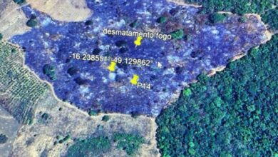 Polícia Civil faz operação para recuperação de nascentes do João Leite