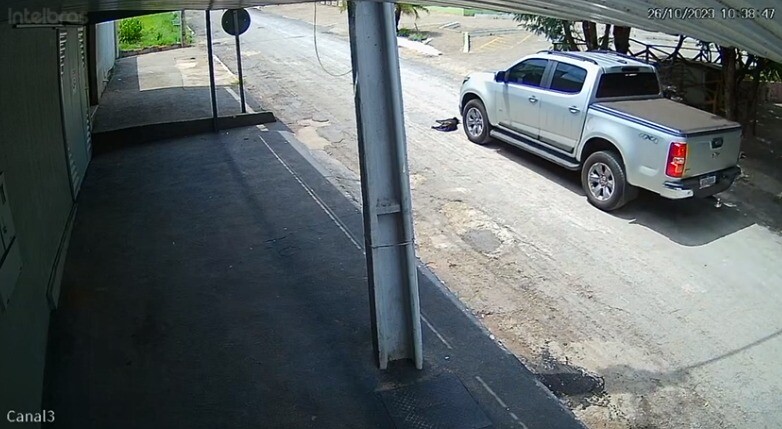 Polícia Civil identifica motorista que atropelou e matou cadela em lago de Inhumas