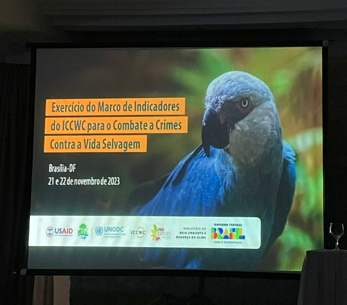 Delegada representa SSP-GO em evento da ONU sobre meio ambiente, em Brasília