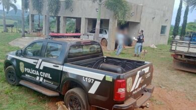 Polícia Civil prende investigados por furto e abate de porcos em fazenda de Nazário