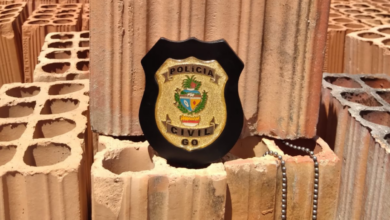 PCGO prende investigado por vários furtos de materiais de construção