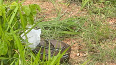 PCGO prende homem por feminicídio de namorada e ocultação de cadáver