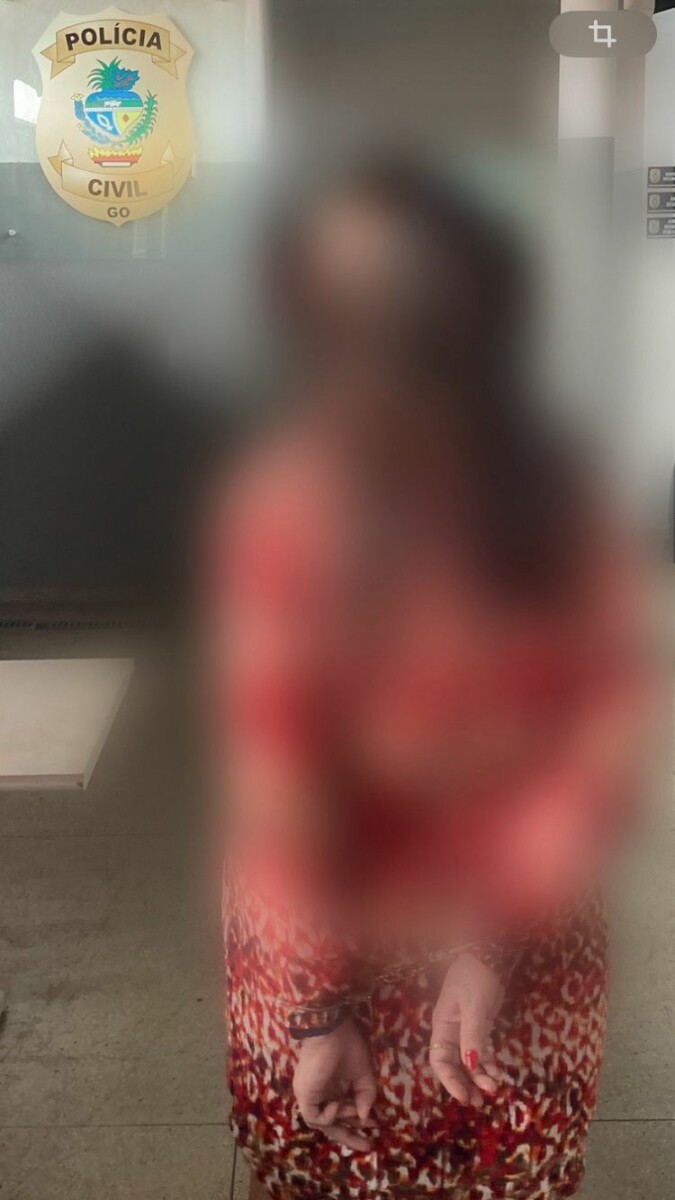 Polícia Civil prende mulher que gerenciaria OS por crime de falsidade