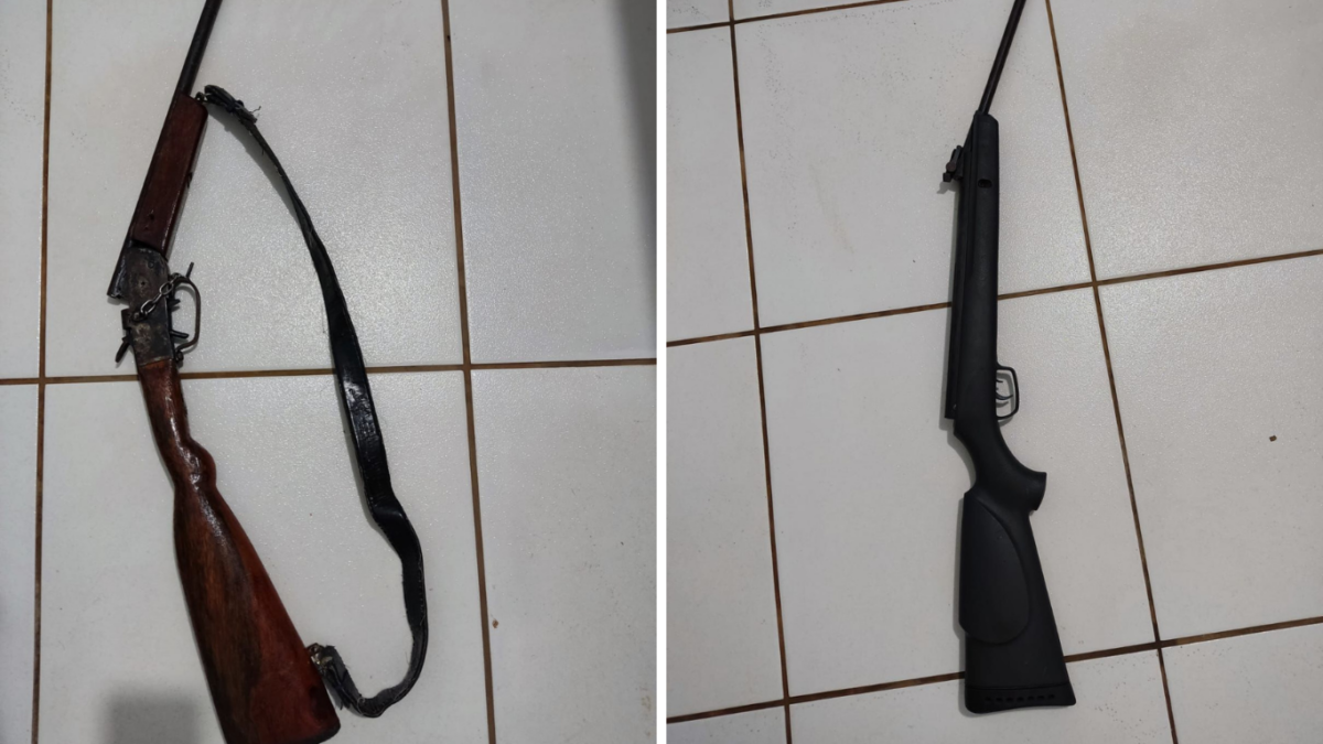 PCGO apreende armas de fogo, em Mozarlândia