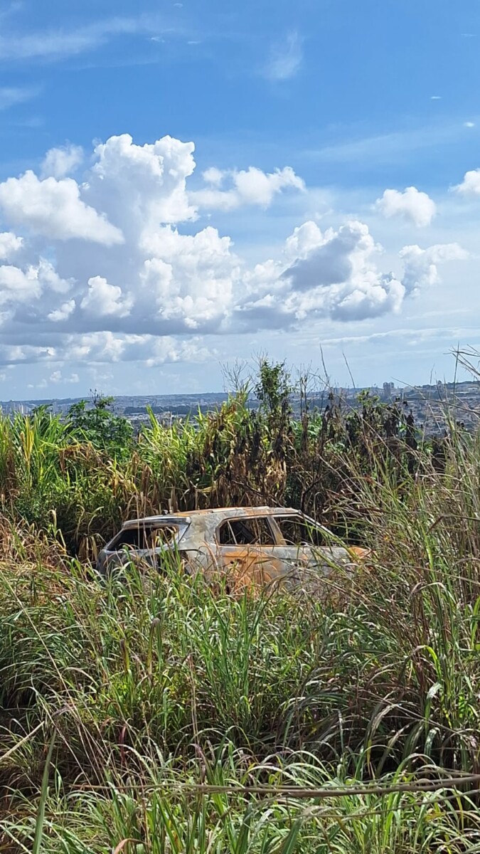 Após notícia de desaparecimento, PC localiza corpo de vítima de latrocínio em Anápolis