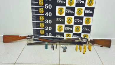 PCGO prende homem por violência doméstica e apreende espingardas