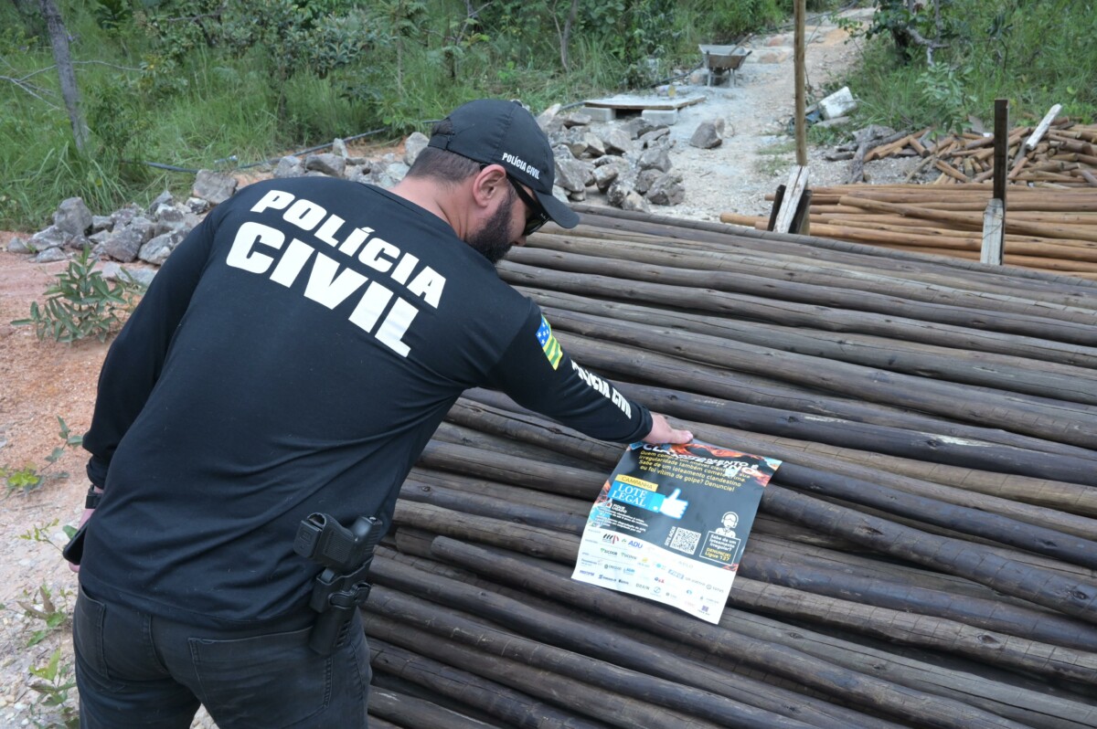 Mais de 100 lotes clandestinos são interditados em Cavalcante