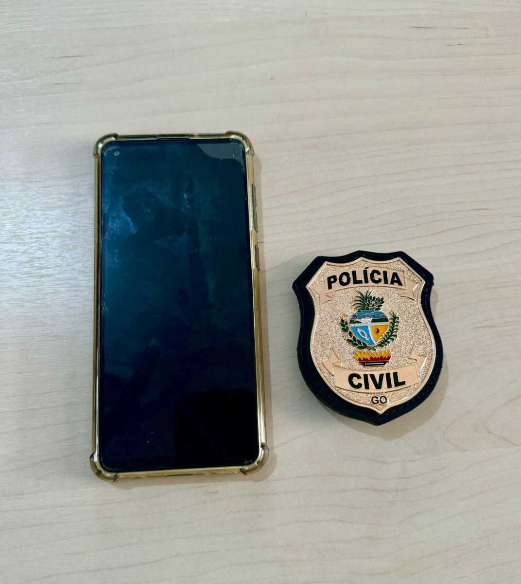 PCGO recupera celular furtado em Alto Paraíso poucas horas após o crime