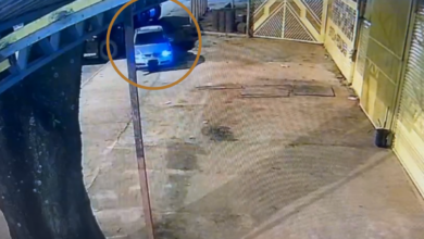 Operação Flor de Pequi: PCGO investiga furtos ocorridos em baús de caminhões enquanto veículos estavam estacionados