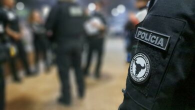 Operação Paper OX investiga esquema de fraude em guias de trânsito animal