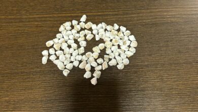 PC prende investigados por tráfico de drogas em Pires do Rio