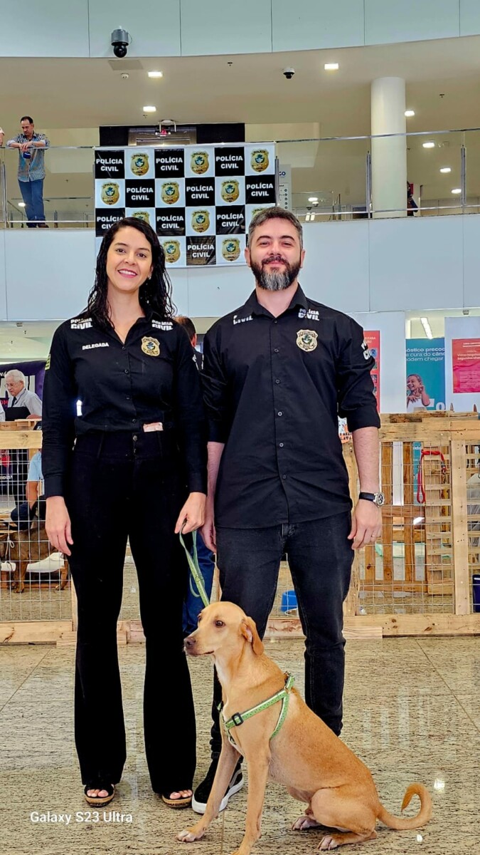 Abril Laranja termina com palestra da PCGO e evento de adoção na Alego