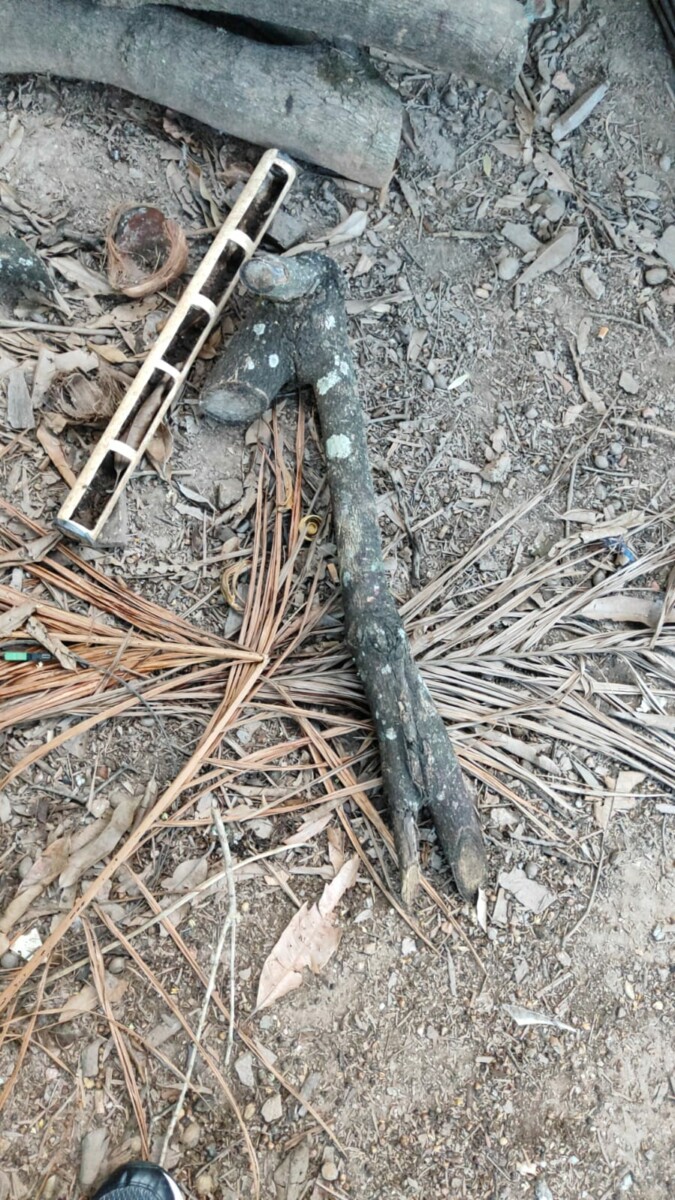 Polícia Civil prende sobrinho por tentar matar tio, em Caldas Novas, após discussão