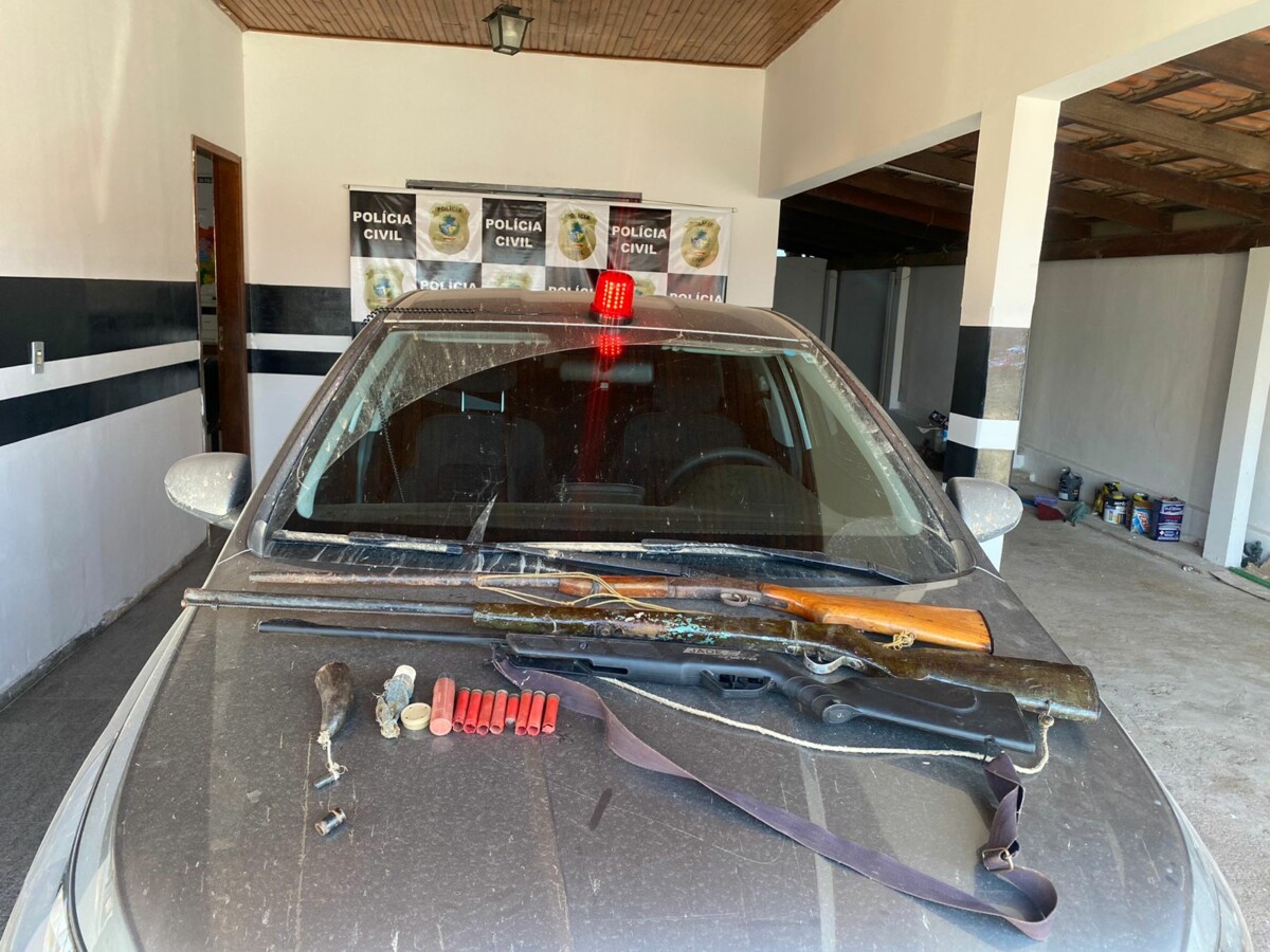 Homem é preso por posse irregular de arma de fogo em São Domingos