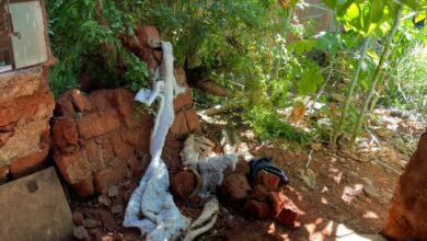 PCGO resgata idoso e investiga irmã e sobrinha por abandono, em Anápolis