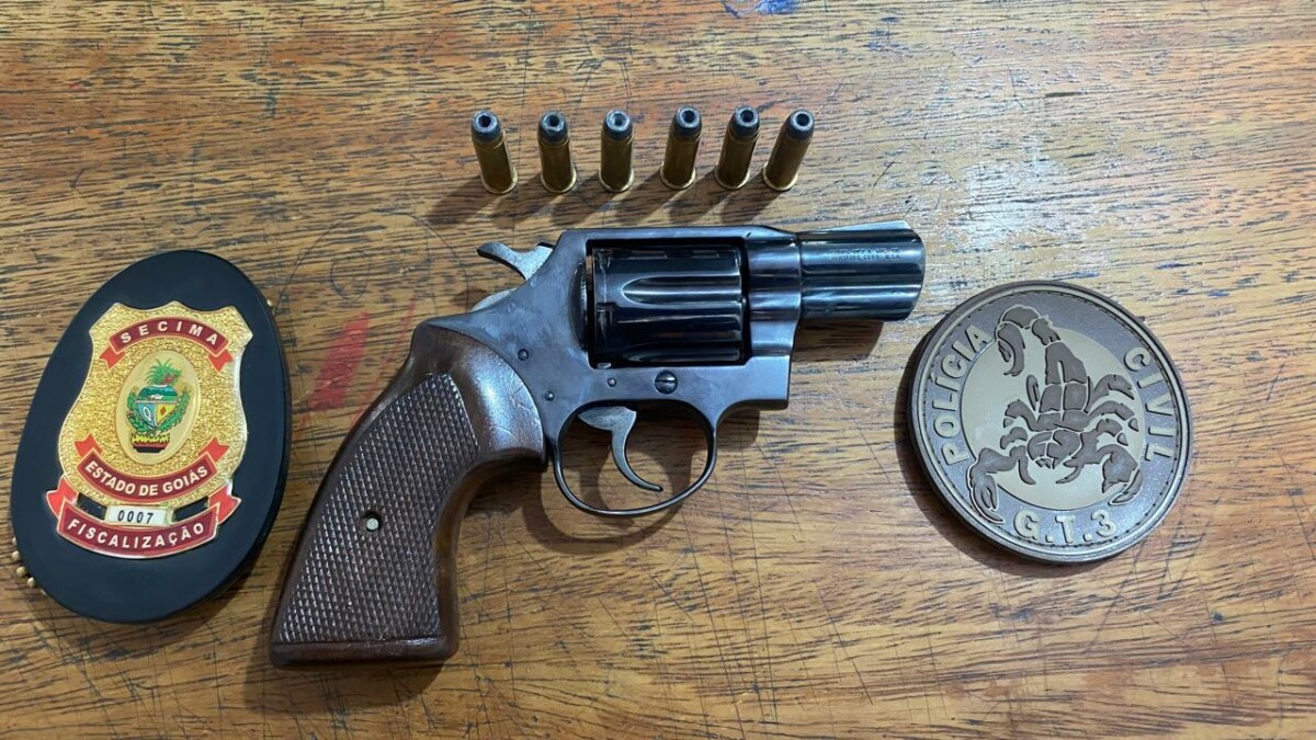 Operação Anhanguera: PCGO participa de ações fiscalizatórias durante 10 dias seguidos