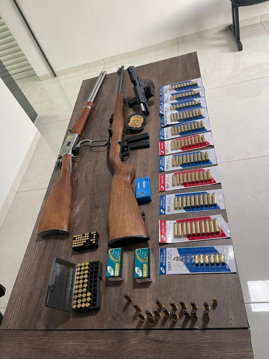 PC apreende armas e munições, em Chapadão do Céu, em investigação de violência doméstica