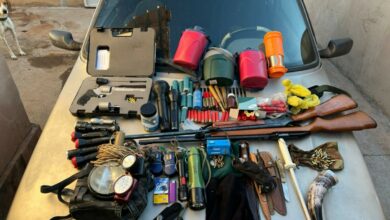 Operação em Mambaí combate caça ilegal e predatória de animais silvestres