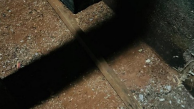 PCGO prende em flagrante homem que tentou matar outro com golpes de pedaço de madeira em Orizona