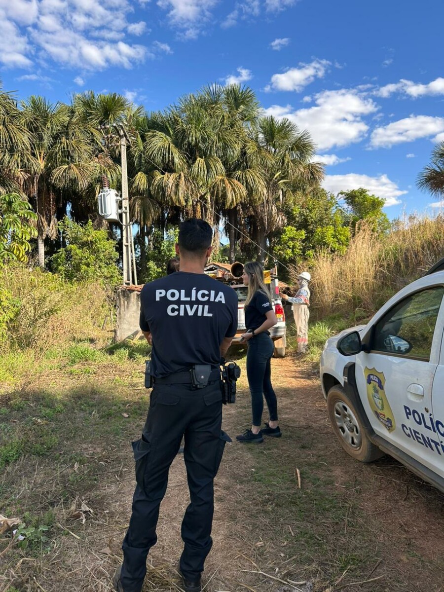 Operação conjunta cessa furto de energia elétrica em propriedade rural de Paraúna
