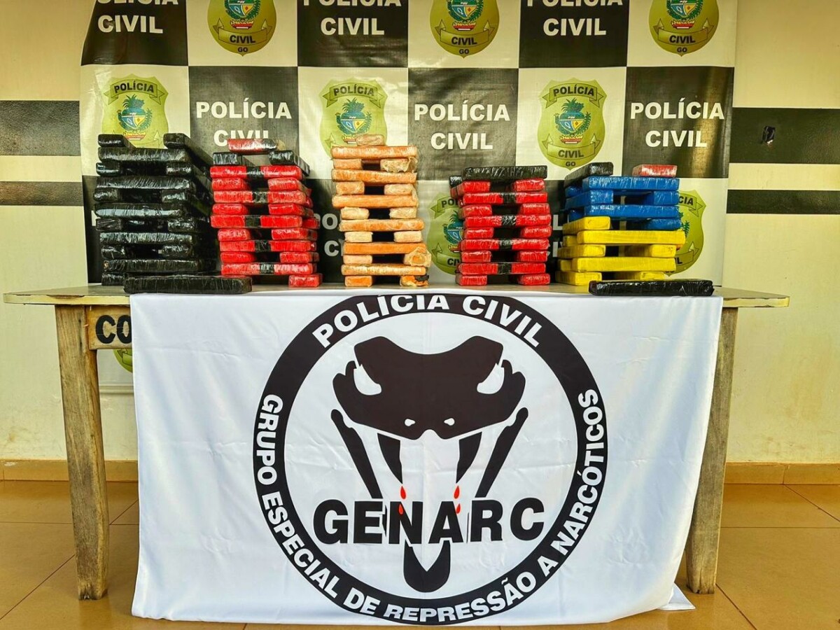 Polícia Civil prende homem transportando carregamento de drogas vindas de Minas Gerais