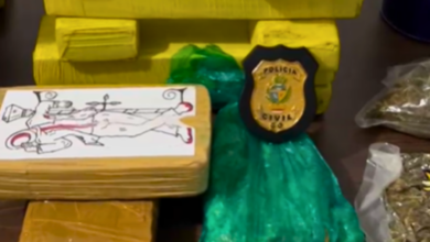 Após apreensão de quase 100kg de maconha, PCGO identifica distribuidor, apreende mais 25kg e prende suspeito