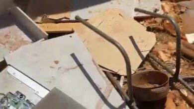 Mulher é presa em Goianápolis por maus-tratos animais; um cão estava morto e outro