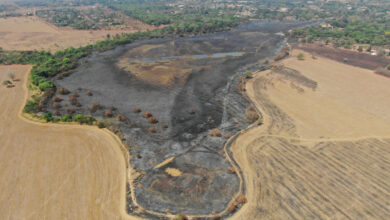 PCGO conclui investigação de incêndio criminoso no Parque das Laranjeiras