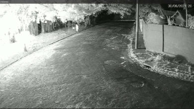 Incêndio: Dema identifica responsáveis por queimadas no Parque das Laranjeiras