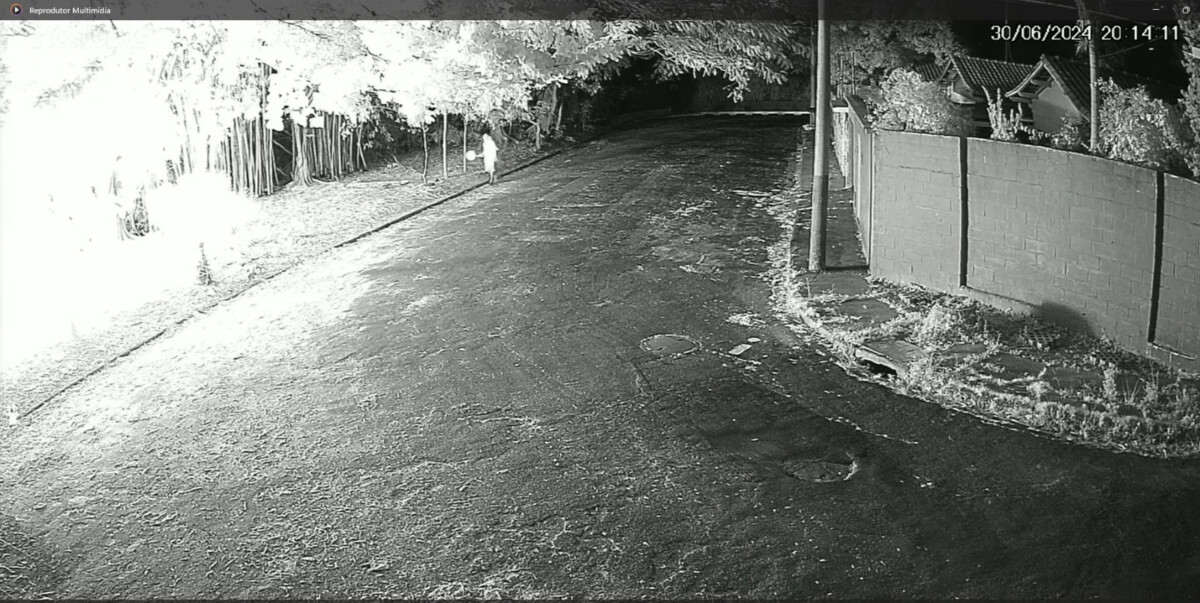 Incêndio: Dema identifica responsáveis por queimadas no Parque das Laranjeiras