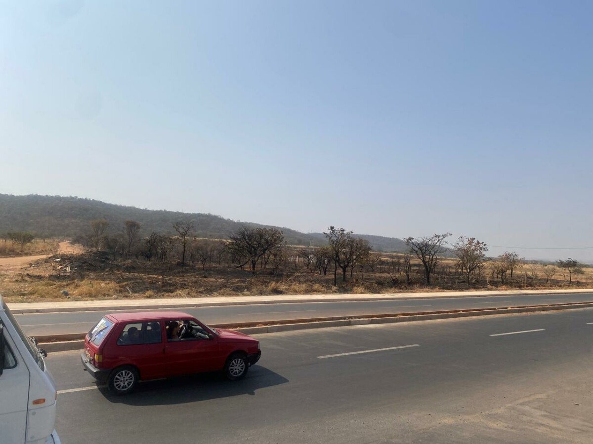 PCGO chega à autoria de incêndio que consumiu a Serra das Areias