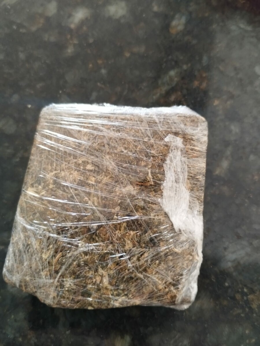 PCGO autua mulher por posse de drogas, em Goiânia, após averiguar denúncia anônima