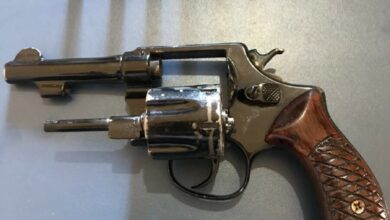 Polícia Civil faz operação em Vicentinópolis, cumpre buscas e localiza arma usada em roubo