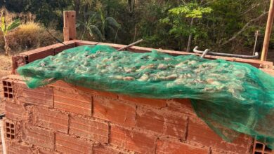 Polícia Civil prende