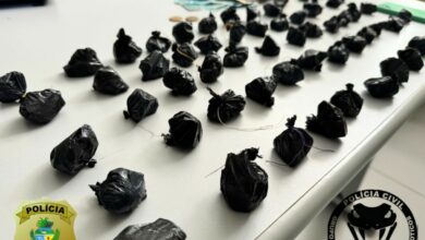 PCGO apreende mais de R$ 120 mil em drogas que seriam comercializadas em Porangatu