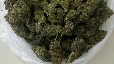 Polícia Civil prende em flagrante advogado por armazenar “supermaconha” para venda em escaninho de prédio