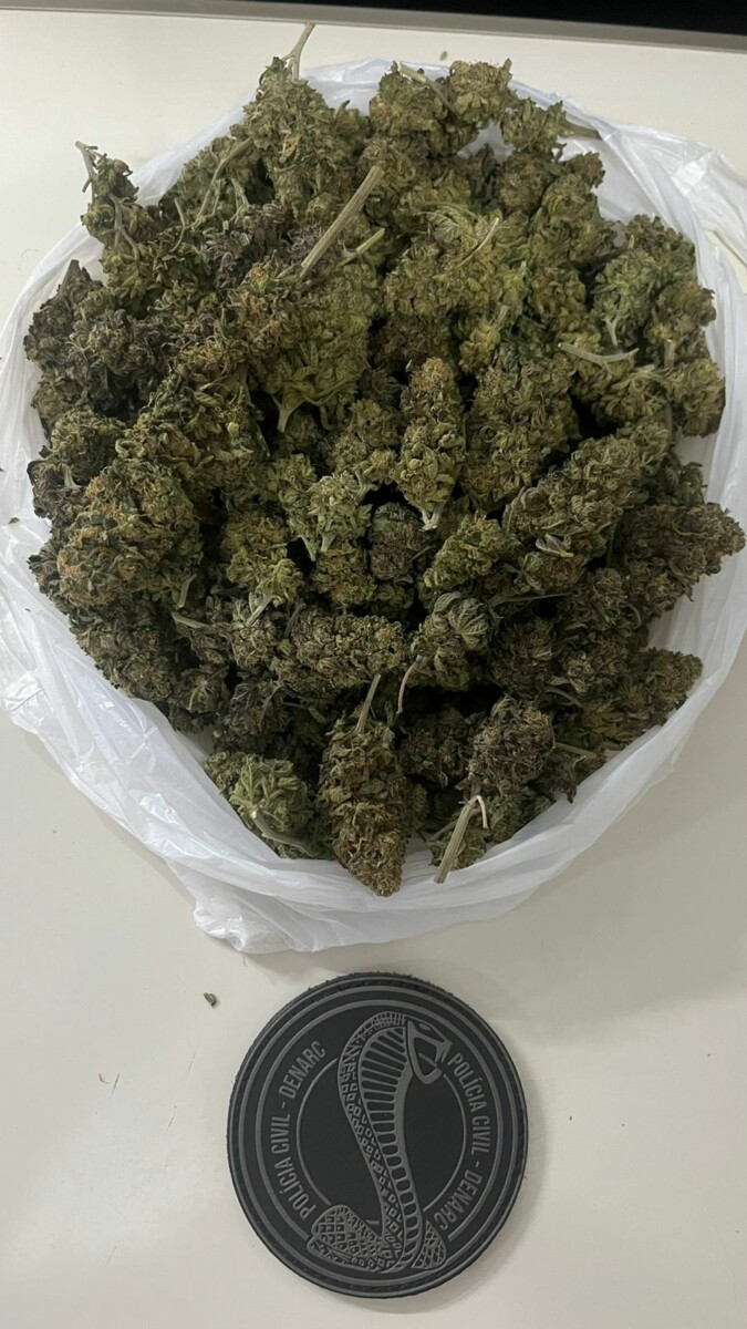 Polícia Civil prende em flagrante advogado por armazenar “supermaconha” para venda em escaninho de prédio