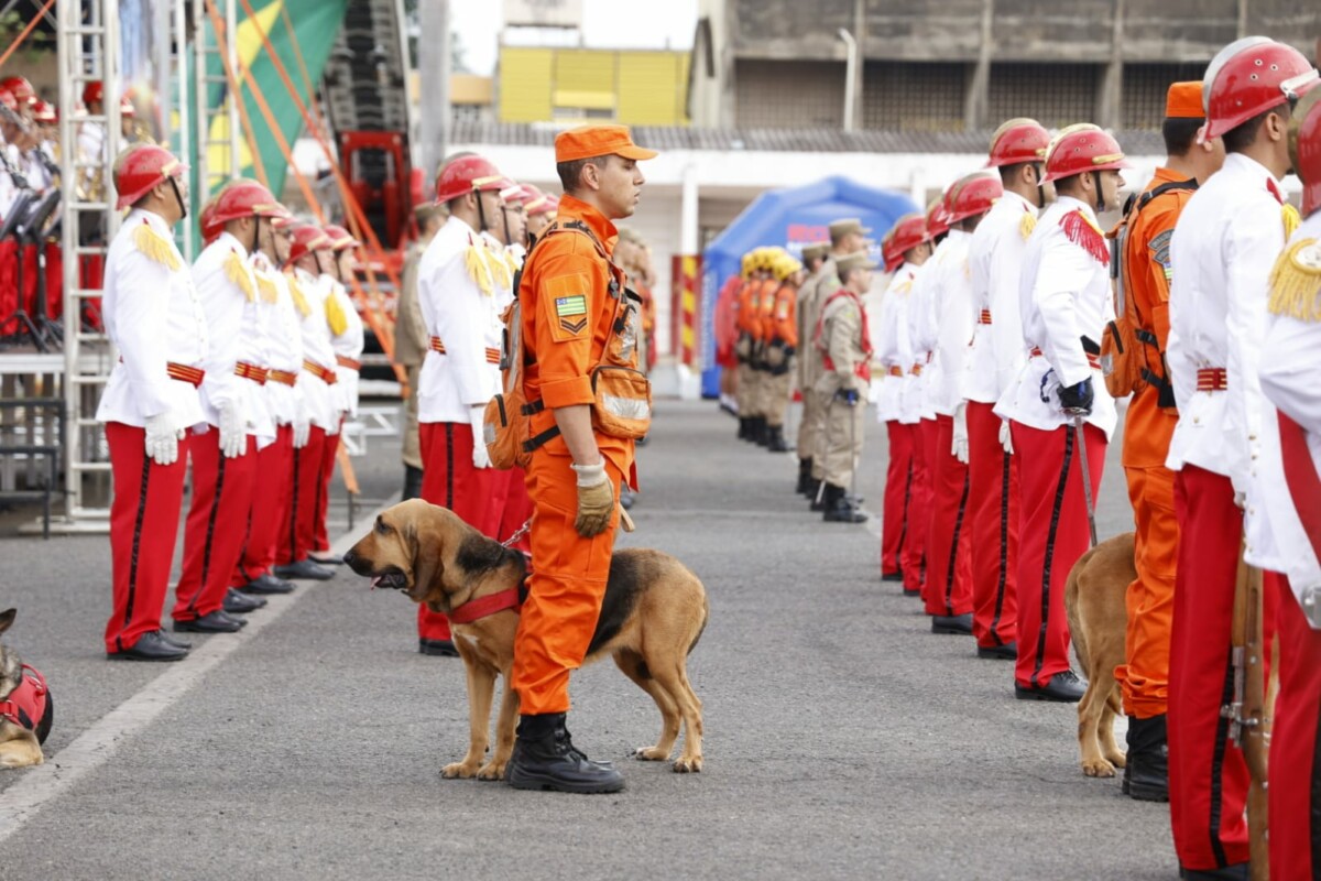 Delegado-Geral participa de cerimônia dos 35 anos de emancipação do Corpo de Bombeiros Militar de Goiás