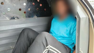 Rascunho automático