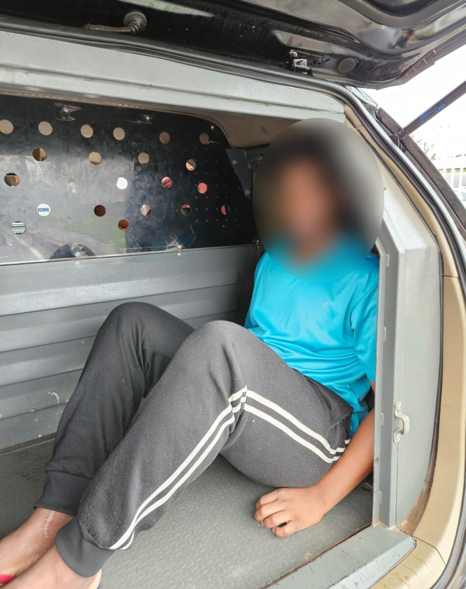 Rascunho automático