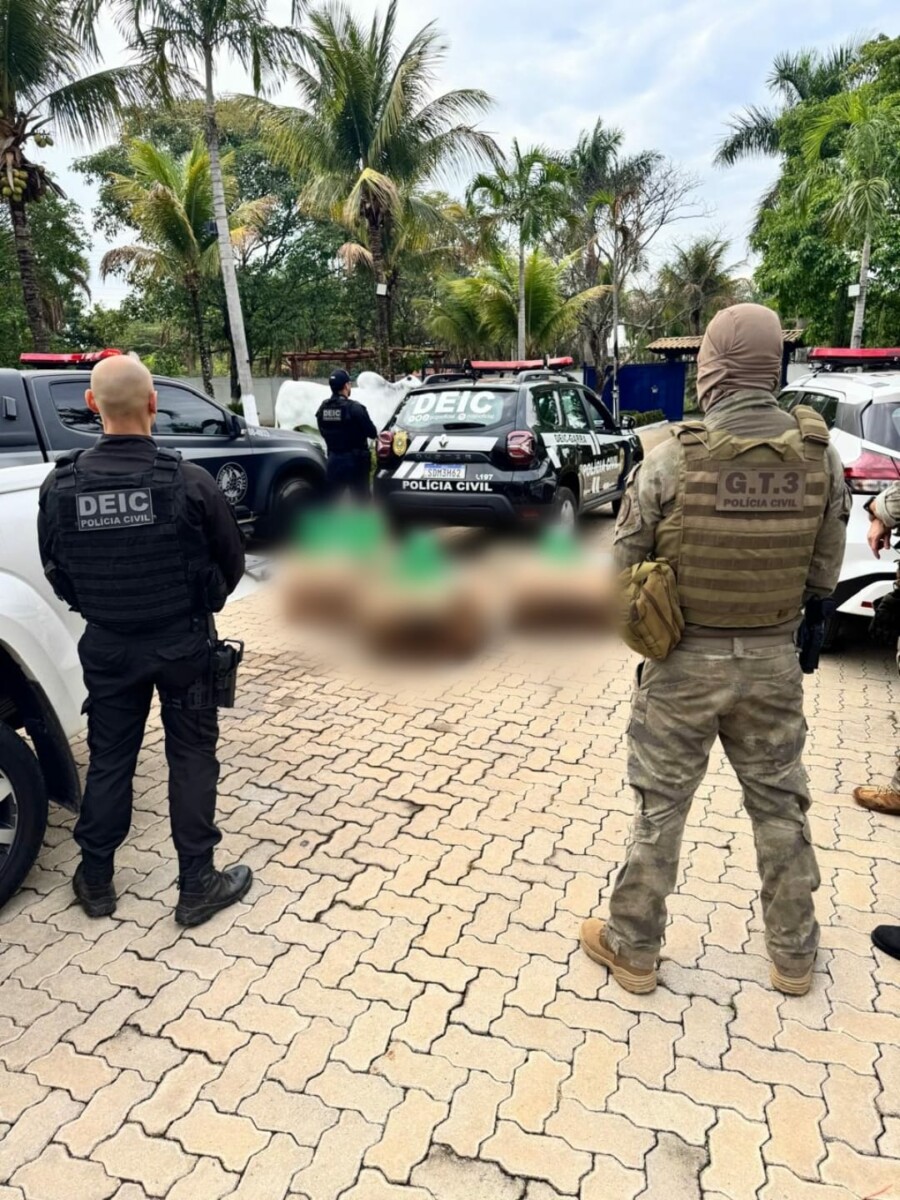 Operação Caviar da Dengue: PCGO cumpre mandados e desarticula fraude de R$ 18 milhões em contrato com prefeitura