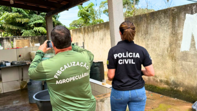 PCGO apreende 100 quilos de queijo produzido em laticínio clandestino de Goiânia